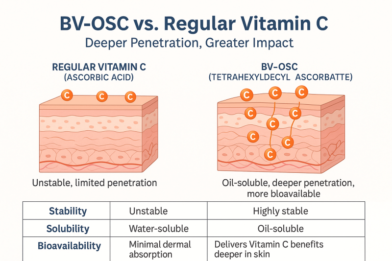 Vitamin C Complex - Image 3